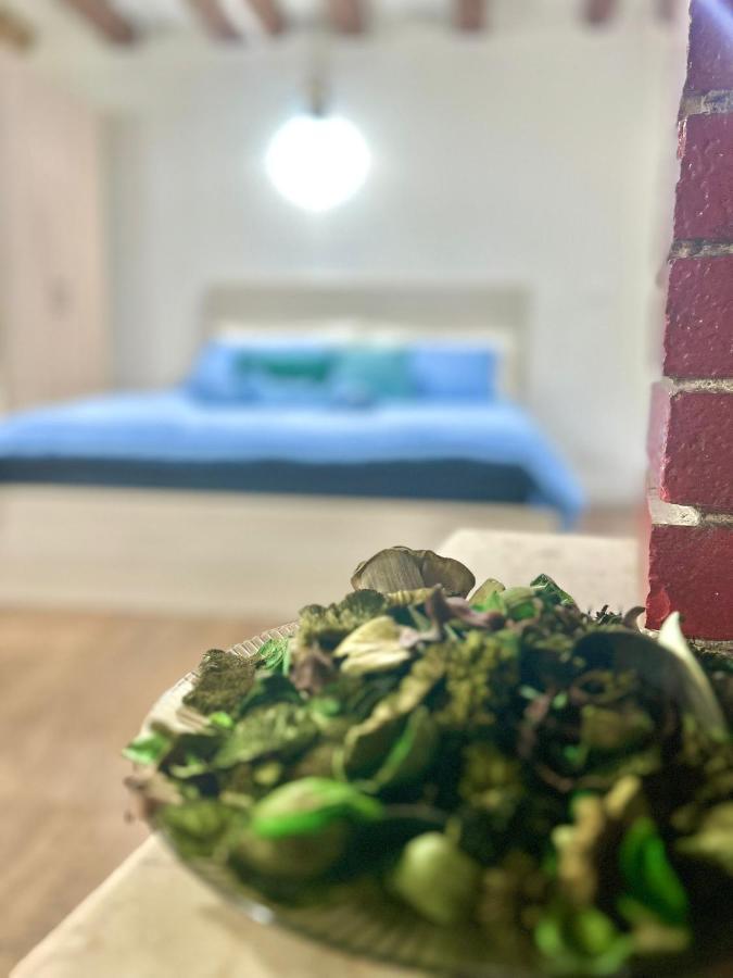 Residence Zar - 2 Τεργέστη Εξωτερικό φωτογραφία